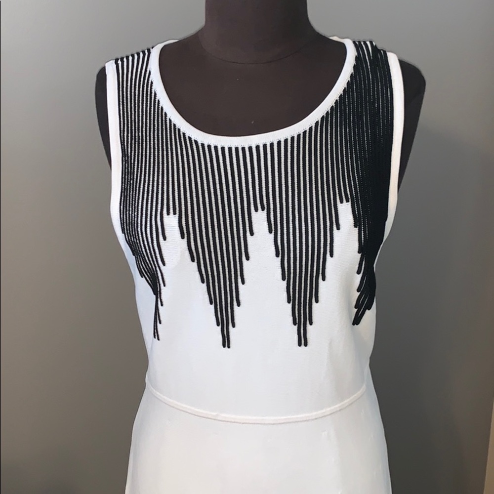 Calvin Klein B&W Dress